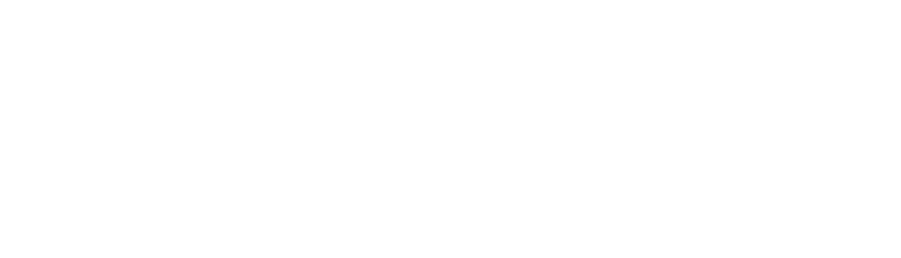 ChatScribe Pro