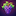 GrapeGPT