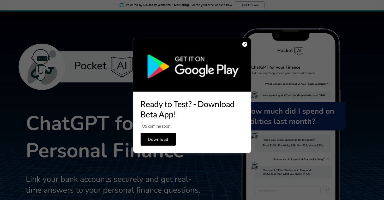 Pocket AI